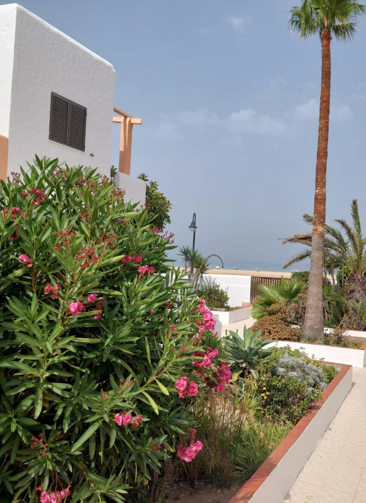 Piscina, Wifi, Patio Con Vistas Apartment Tarifa Exterior photo